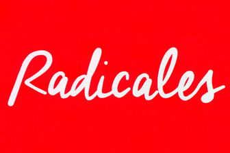 Un partido, una estrategia, un candidato