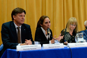 “Necesitamos una política nacional de salud mental para la infancia”, dijo Carla Carrizo